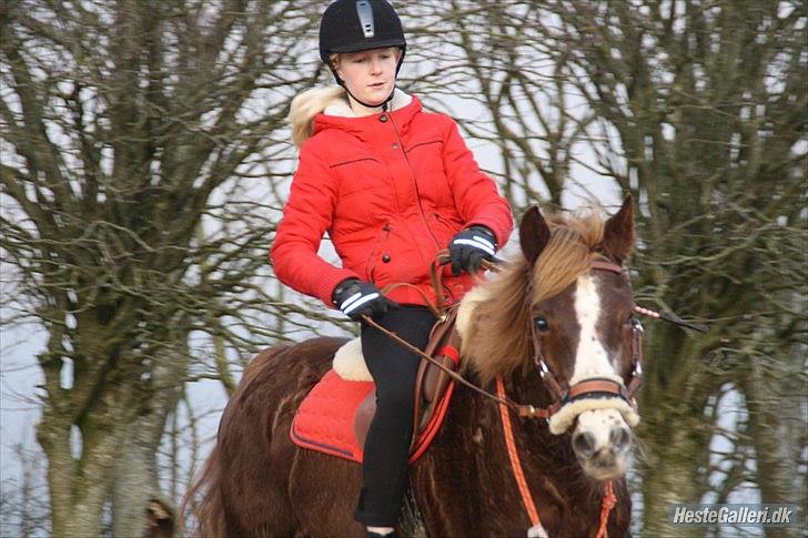 New Forest Sanchez | I miss you!<3 - Nu som bidløse :D! billede 11