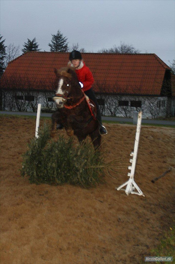 New Forest Sanchez | I miss you!<3 - Spring over das juletræ xD billede 18