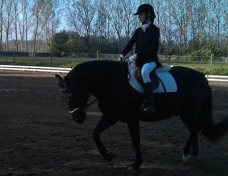 Oldenborg Hr. Lakrids - elsker dig skat <3 billede 7