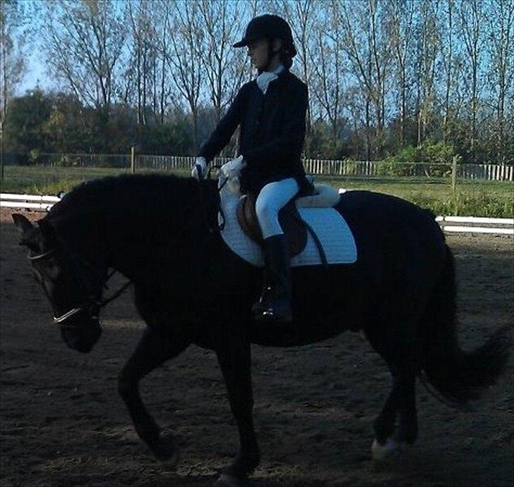 Oldenborg Hr. Lakrids - du så dejlig :-) billede 9