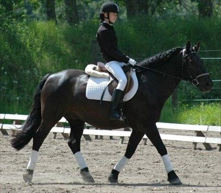 Oldenborg Hr. Lakrids - "hey gider du lige gå til biddet du"?  "vrinsk vrinsk" <3 billede 10