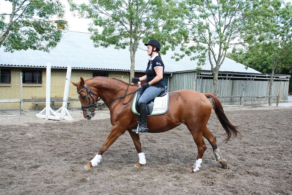 Oldenborg Lady Q billede 2