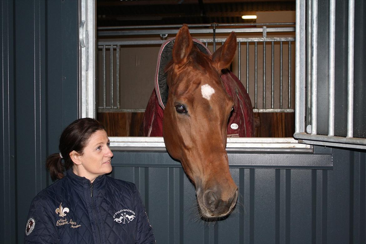 Oldenborg Lady Q billede 5