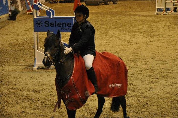 New Forest Odden's Daytonna A-Pony - 1.PLADS I LB2** TIL DCS WARM UP 2011! billede 20