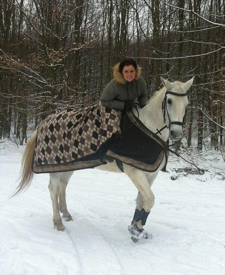 Dansk Varmblod La Troya ( solgt ) - Tur i sneen d. 29/1-12 <3 billede 1