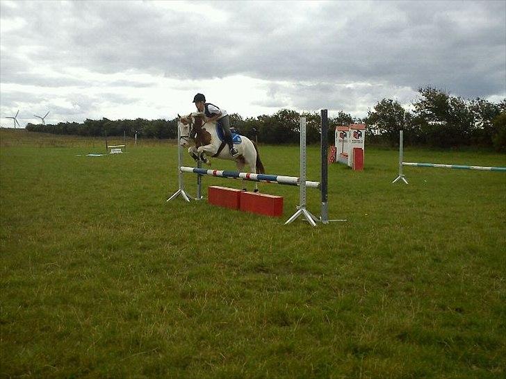 Paint Rosenlyst´s Shane!<3 (Bertil) billede 2