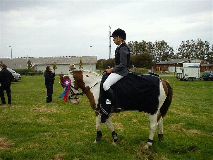 Paint Rosenlyst´s Shane!<3 (Bertil) billede 4