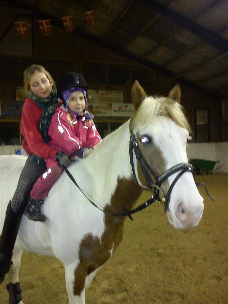 Paint Rosenlyst´s Shane!<3 (Bertil) - Undskyld at jeg ikke havde nogen ridehjelm på men syntes nu at det var vigtigere at min søster fik den på;) billede 8