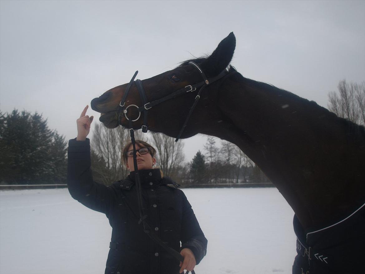 Anden særlig race TULLE-BELL - Smil <3 billede 3