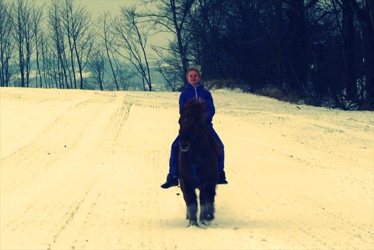 Islænder - ASI - Damp'dyret.<3 - Når man viser hvor meget man holder af sin pony!<3 Happy me! :*
Ida Madsen 2012 billede 17