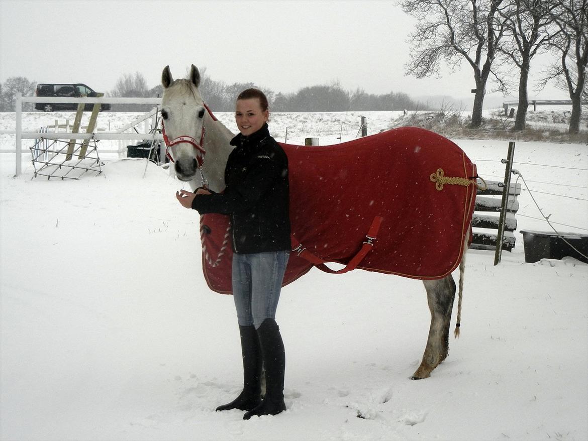 Hollandsk Sportspony Rainy Lake  - Rainy med sit nye uld tæppe og jeg i sneen (2012)  billede 19