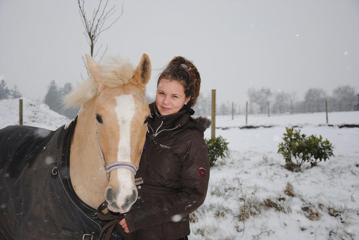 Palomino Queen Of Europe<3 - Elsker dig Bette Q<3<3 billede 1