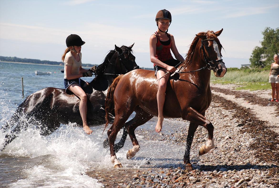 Anden særlig race Beauty buttefly-flip |Soulmate| - fordi du er super hot! ridelejr 2011:* billede 20