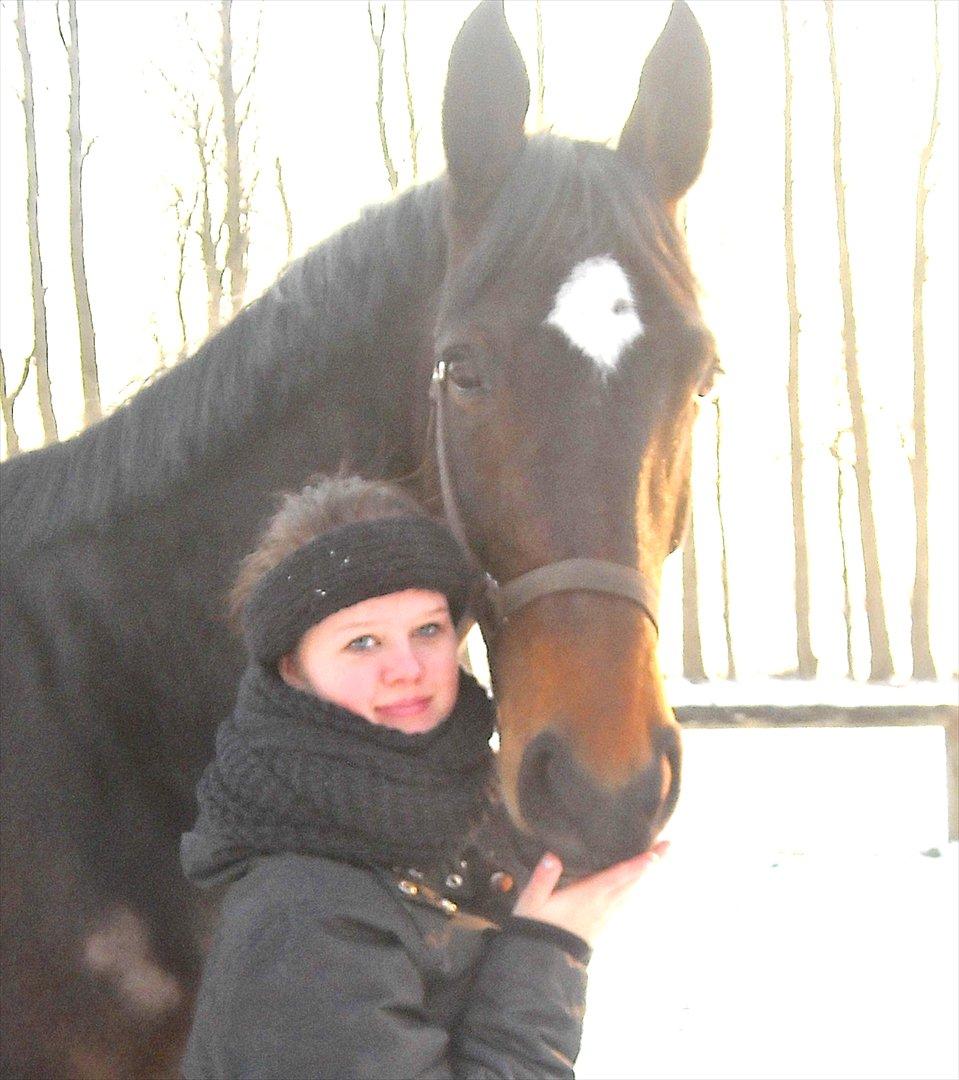 Tysk Varmblod Dolli billede 19