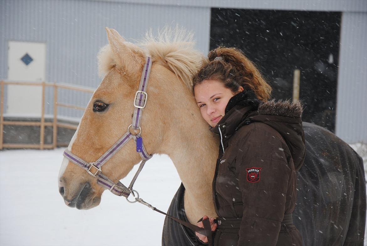 Palomino Queen Of Europe<3 - Dejlige pony! billede 4