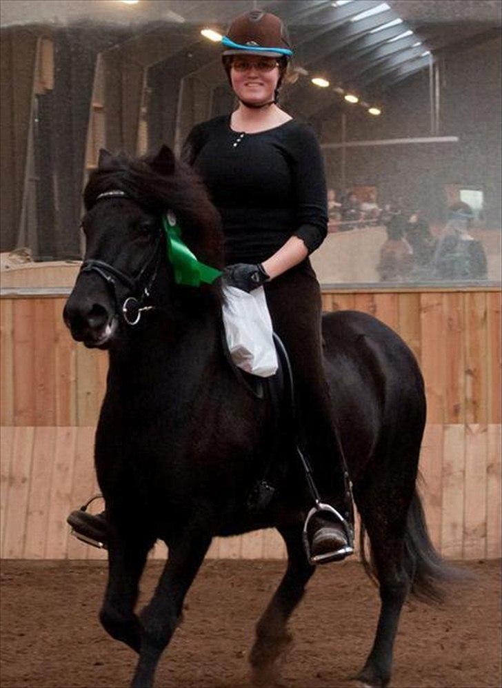 Islænder Auður  fra Geldingaá - Træningsstævne i Stemma - 4 plads i 4.5 og vi fik faktisk 1. plads med hjem i T.8 billede 2