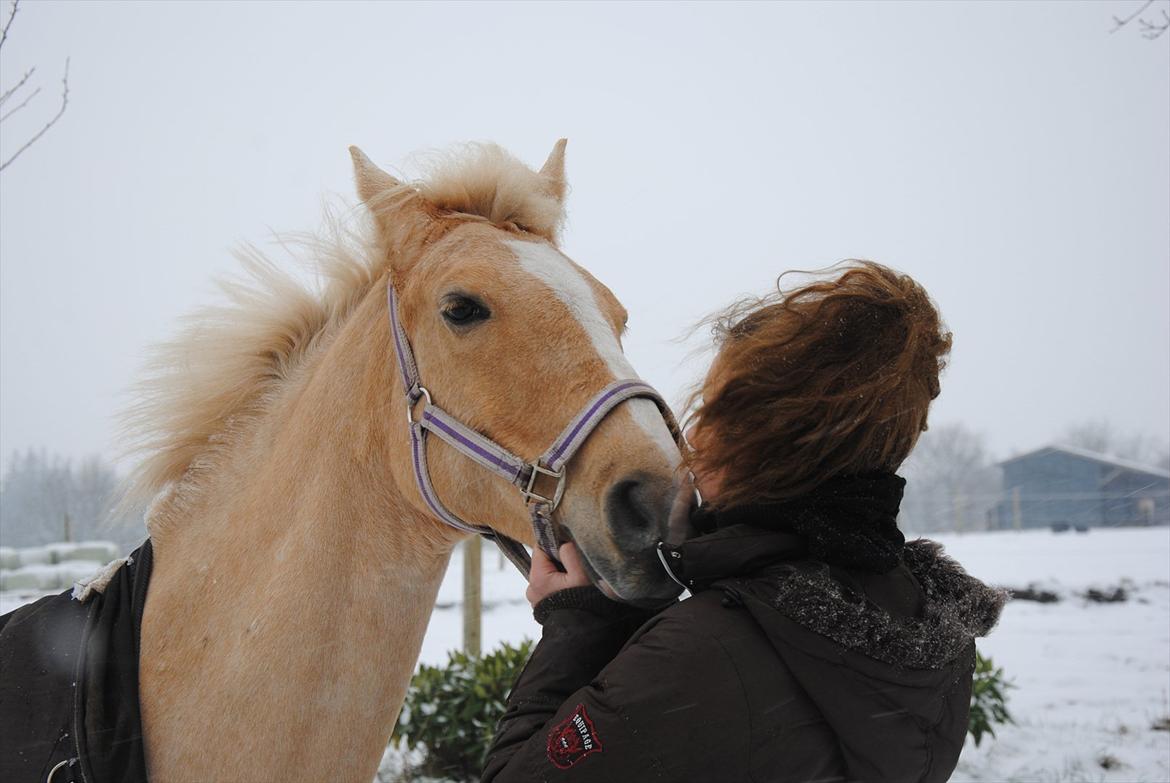 Palomino Queen Of Europe<3 - Mysser :-* billede 6