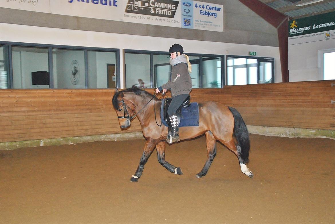 DSP Shamrocks Massa E Cozzile - d. 29/1 2012 billede 7