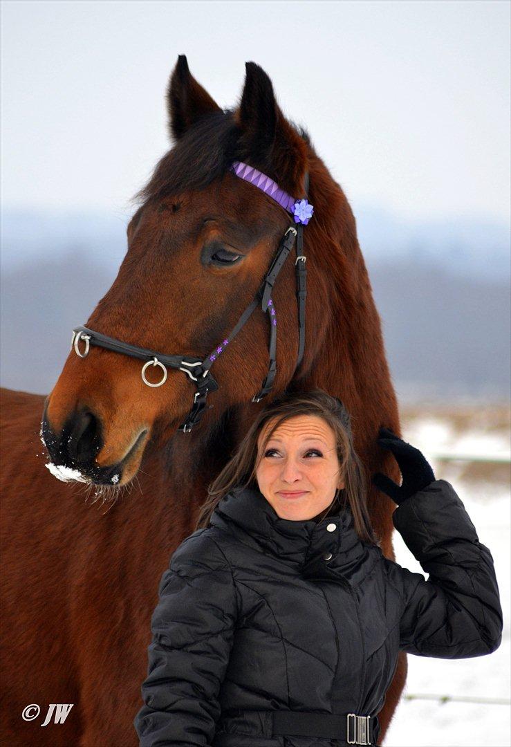 Anden særlig race Stauslykkes Le'Cato - © JW Januar 2012 billede 6