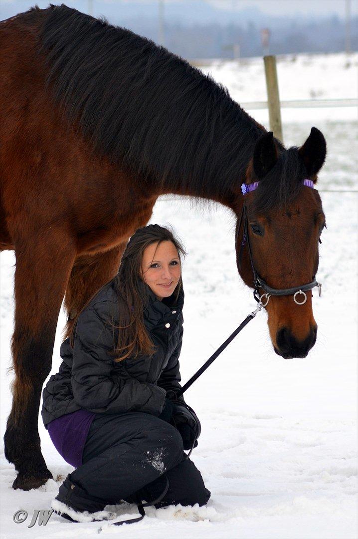 Anden særlig race Stauslykkes Le'Cato - © JW Januar 2012 billede 5