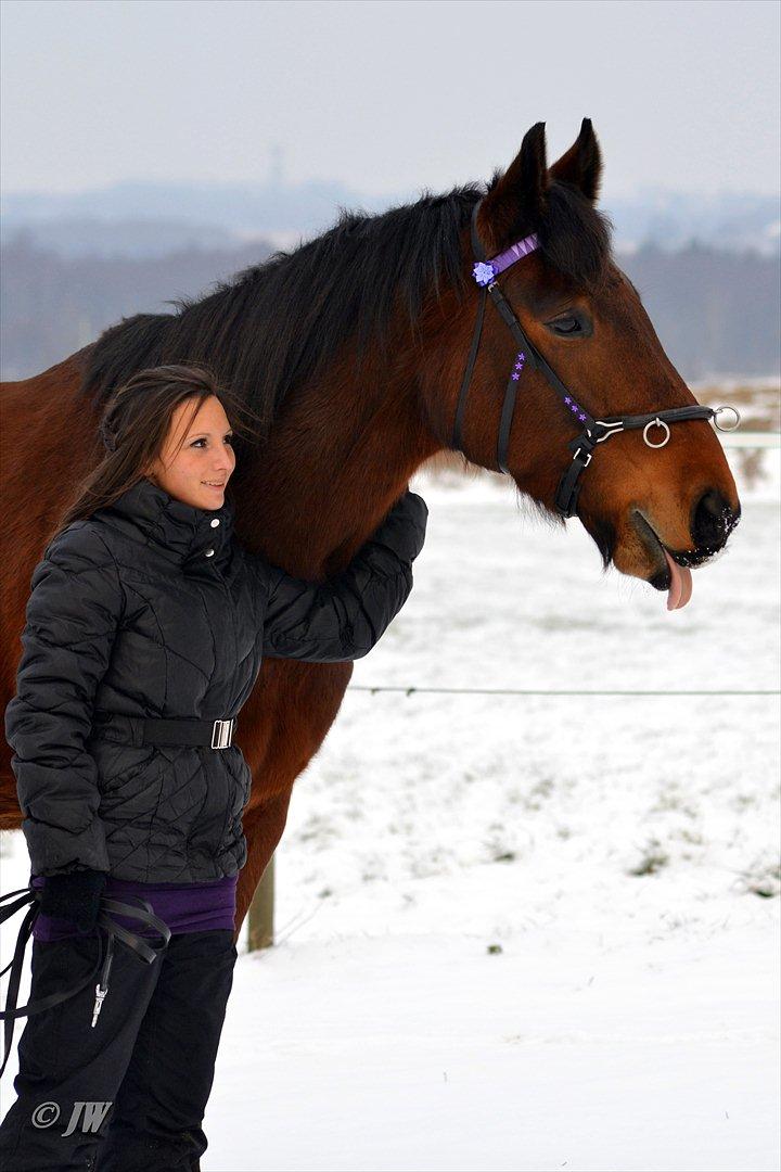 Anden særlig race Stauslykkes Le'Cato - © JW Januar 2012 billede 7