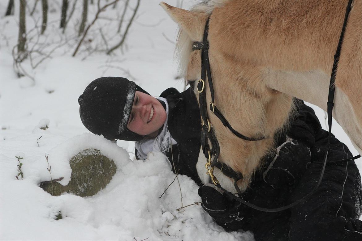 Fjordhest Freja - Freja og jeg oppe ved Zoey<3
Vinter 2010 billede 20