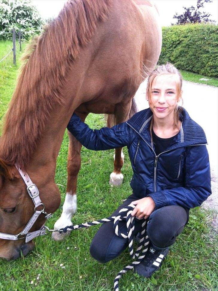 Hollandsk Sportspony Chanell S - Nelle og jeg. Nelle græsser. billede 16