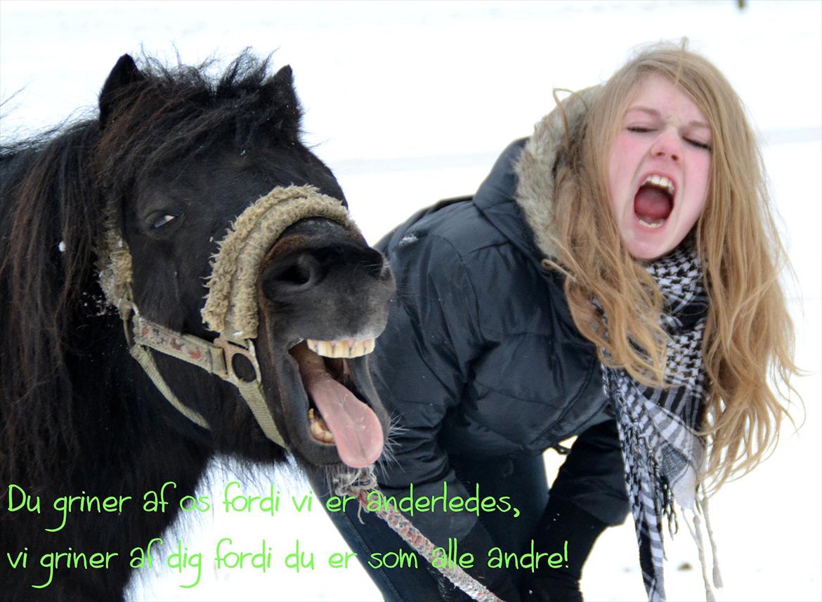 Anden særlig race "Prins" Rambo Maluri - Du griner af os fordi vi er anderledes, vi griner af dig fordi du er som alle andre!xD Foto: Anne Mette Jensen billede 20
