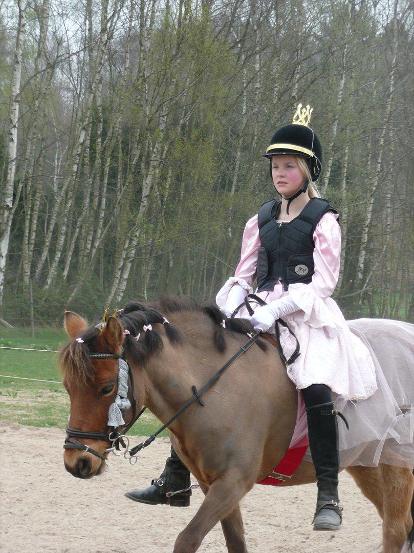 Gotlandsruss Julie (Dulle) - Ridelejren 2011 - Klæd ud/opvisning:D billede 14