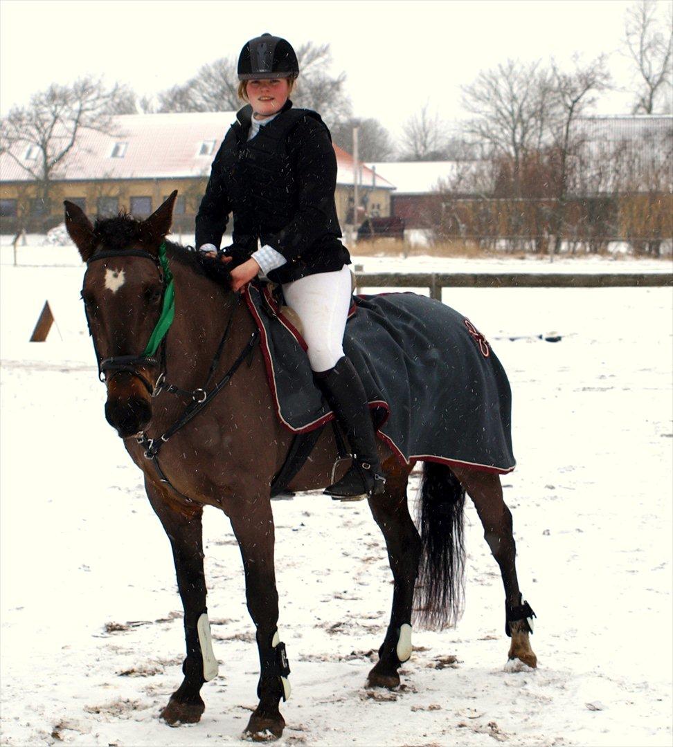 Anden særlig race Lady - 7. Stævne i Hornum d. 29/1-12 
4 plads, så glad!!  billede 7