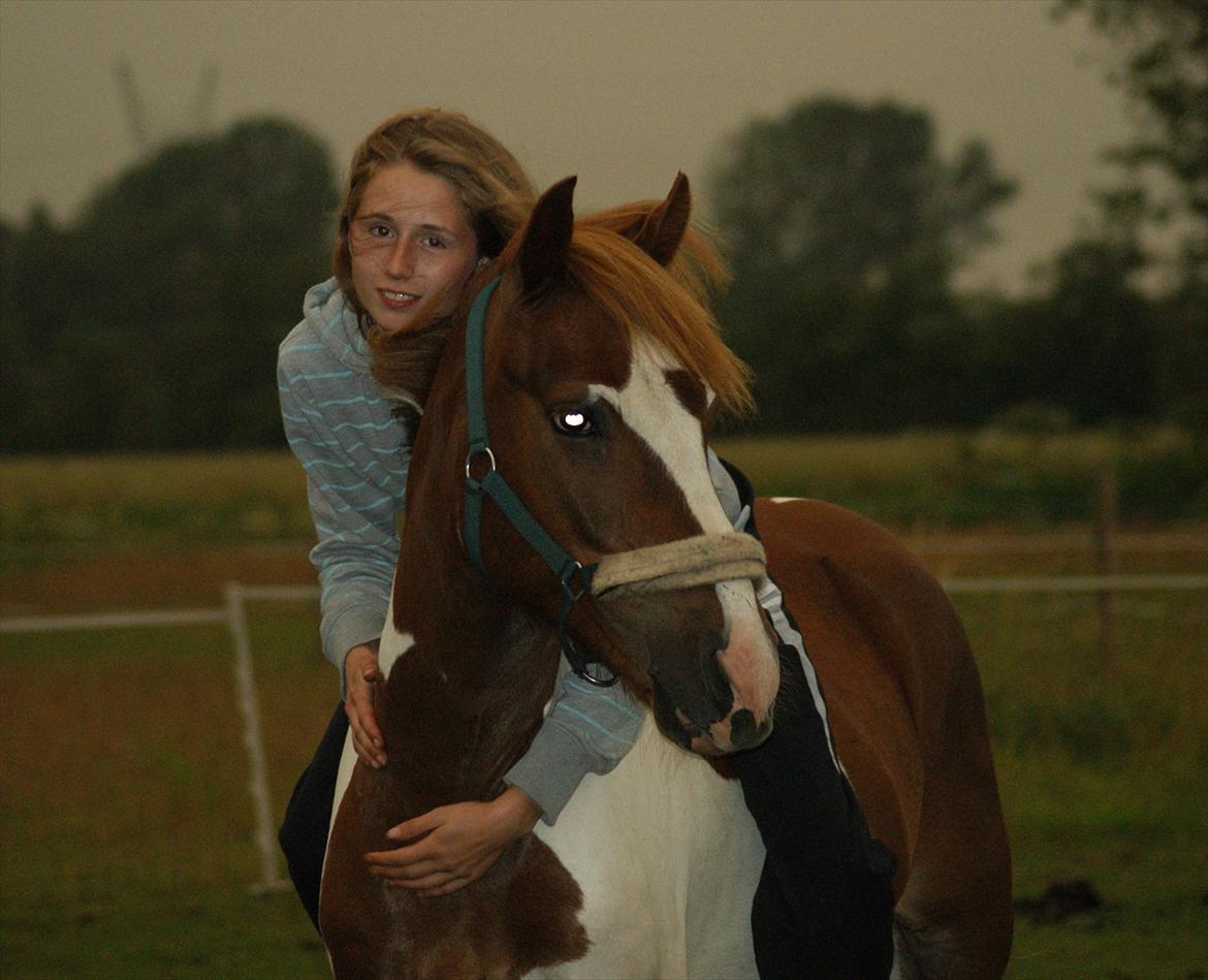 Pinto NM Pimento - Mit eventyr! - Du mit hjerteslag! billede 2