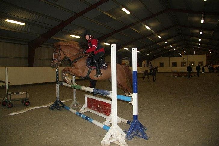 Welsh Cob (sec D) Jet!<3 solgt.. - Du er bare dejlig <3 billede 2