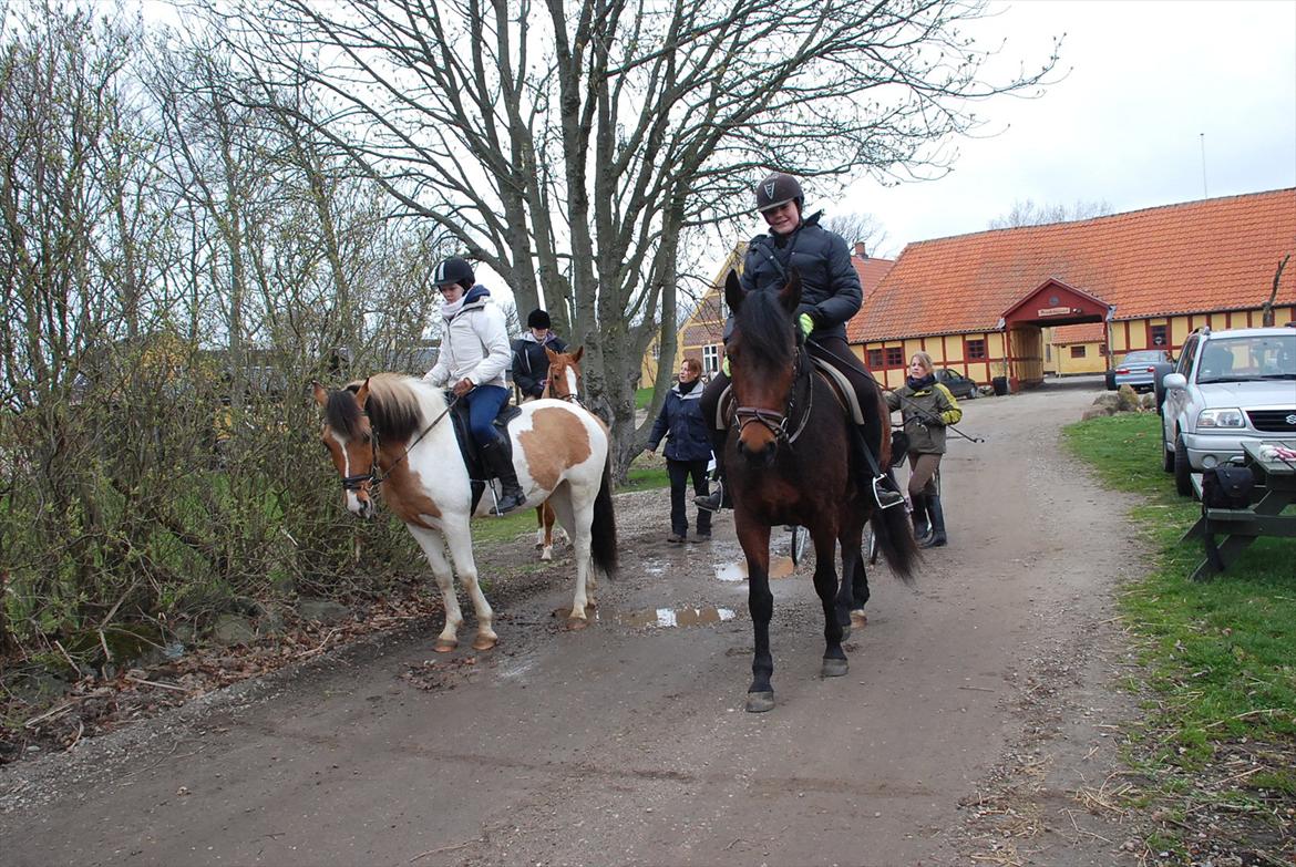 Anden særlig race Tristan - Venter ved start <3 billede 13