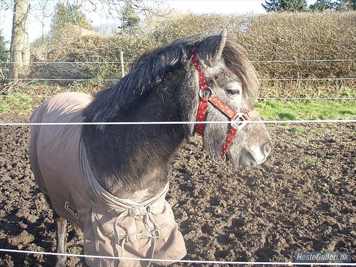 {{currentPhoto.altText}} billede {{currentPhoto.number}}