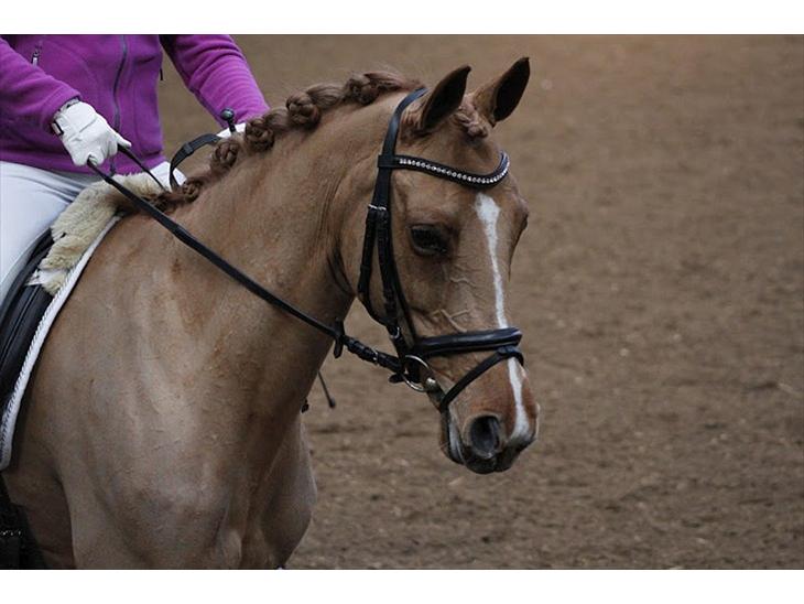 {{currentPhoto.altText}} billede {{currentPhoto.number}}