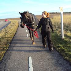 Oldenborg Pibeholms Jupiter