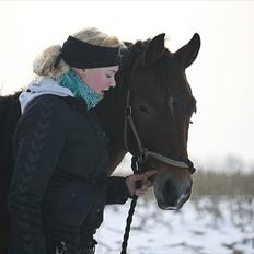 Pinto Dark Daimond<3