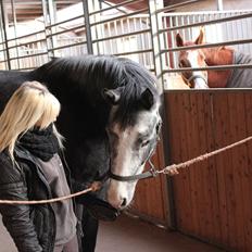 Anden særlig race Ferdinand Pascal