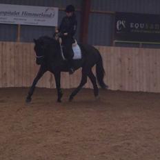 Oldenborg Bastian Af Regal