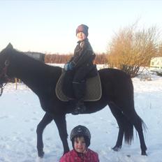 Anden særlig race Annabell