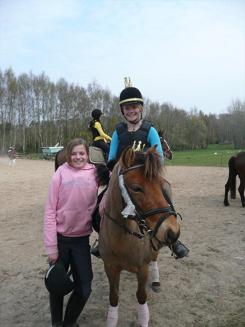 Gotlandsruss Julie (Dulle) - Ridelejren 2011 - Julie og jeg til klæd ud/opvisningen:) billede 17