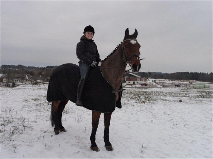 Anden særlig race Gypsy Bally - Du er min aller bedste ven!<3. billede 5