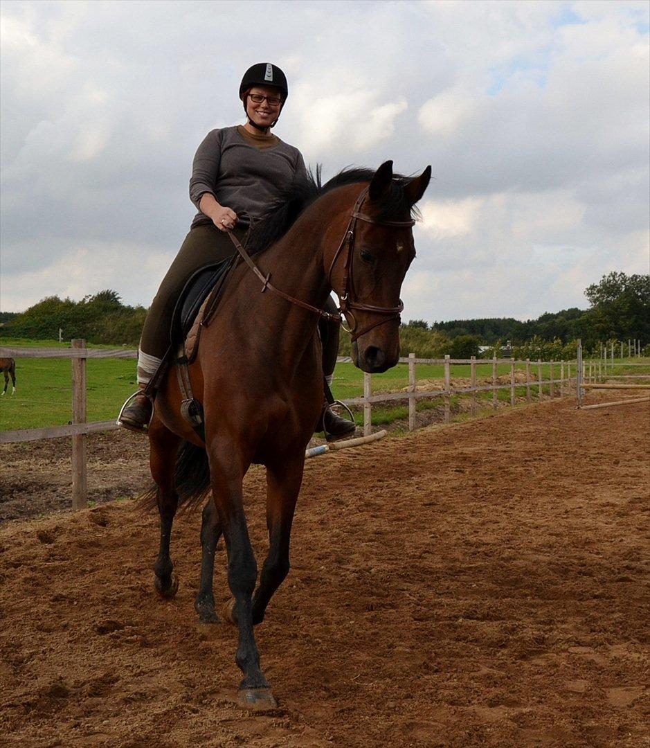 Holstener Waikiki - SÅ kom jeg endelig på ryggen af hende og hun opfører sig eksemplarisk!! <3 billede 14