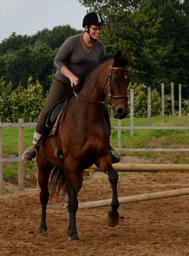 Holstener Waikiki - Havde helt glemt hvor fedt det er med en god galop :) billede 15