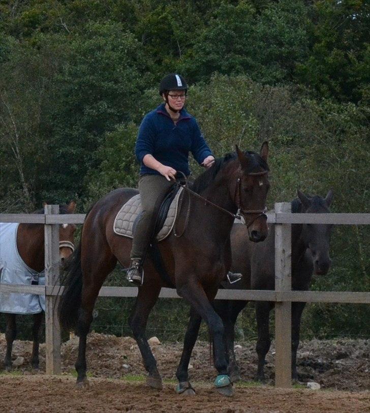 Holstener Waikiki - Er det mon koncentration det der?? :) billede 17