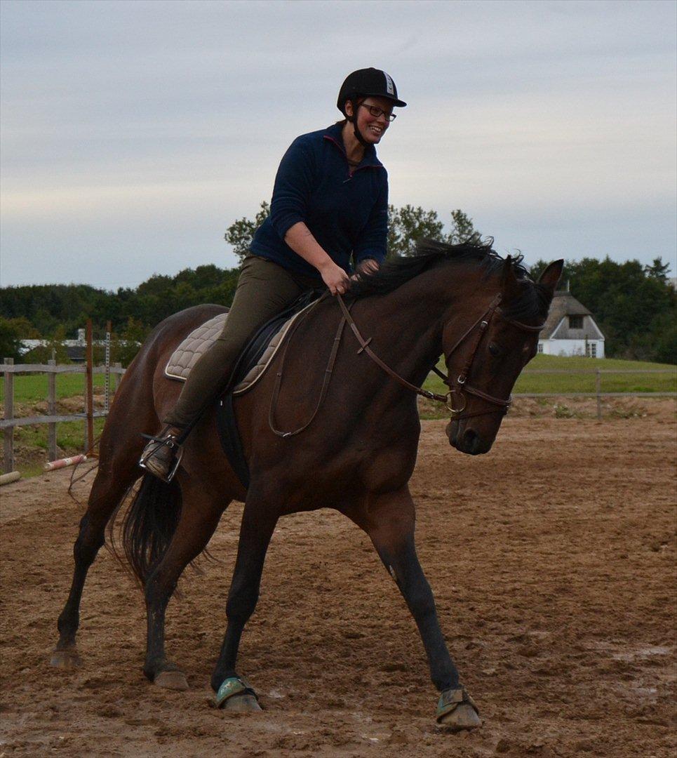 Holstener Waikiki - Mere galop - elsker det! billede 18