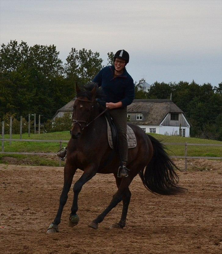 Holstener Waikiki - Kom så Kiki-mor! :) billede 19