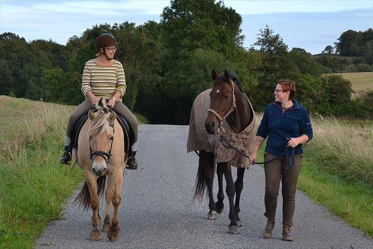 Holstener Waikiki - Hygge en dejlig aften sammen med min mor og hendes den gule :) billede 20