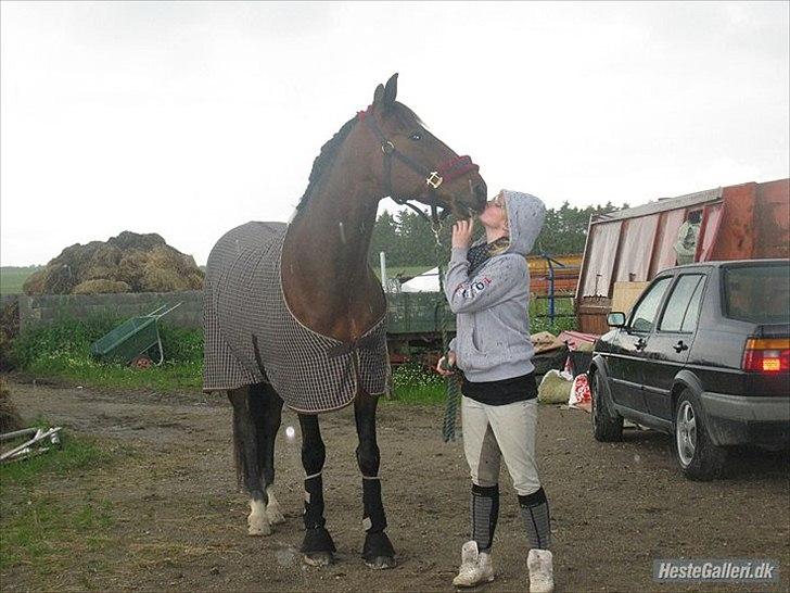 Traver König min skat :) - Det sidste billede der er taget mens König stadig var min:( Savner ham..
Taget den 19 juni 2011 billede 20