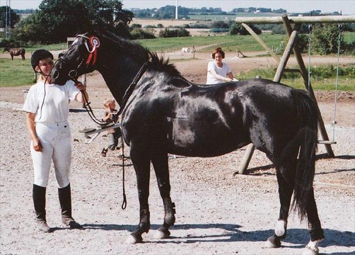 Oldenborg Valenzia - Lenzi (9 år) til springstævne ed Heidi som rytter.  billede 2